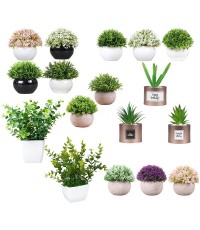 Plastic plant flower PPF20122